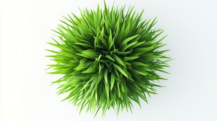 Vibrant Green Grass from Top-Down 3D Perspective on White Background