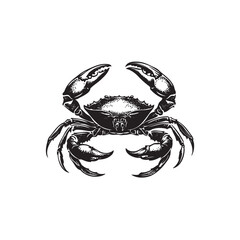 illustration of a crab