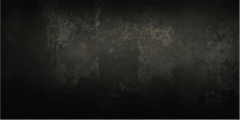 The Dark Beauty of a Black Wall: A Seamless, Minimalist Background that Transforms Any Space into a Stylish and Contemporary Sanctuary