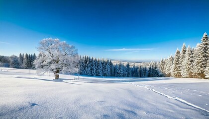 Obraz premium Beautiful winter landscape with snow-covered trees and fields under a