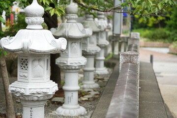 Fototapeta premium 風景