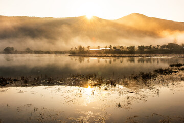 물안개 피는 호수에 빛이 스며드는 아침