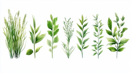 Naklejka premium A delicate depiction of Scandinavian grass and leaf motifs beautifully highlights the splendor of nature, illustrating vibrant shades of green