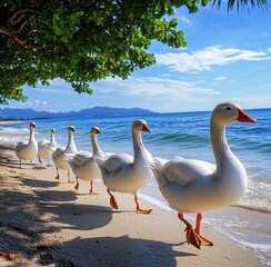 Obraz premium ducks on the lake