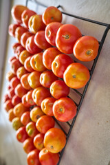 Cooling Rack of Organic Tomatoes