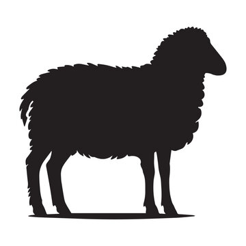 recommend clip art: Sheep standing silhouette vector illustration, Ovis aries clipart Design