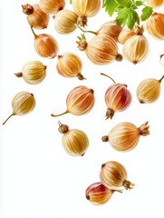 Fototapeta premium Orange gooseberries floating flying falling in motion isolated on white background illustration