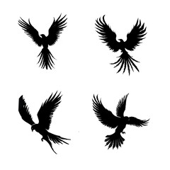 Obraz premium bird silhouette set, bird vector image.