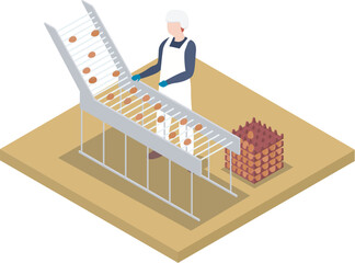 A Man Collecting Eggs for Sorting in the Factory Isometric Illustration Vector © Syaiful