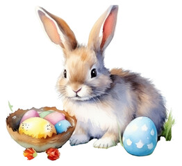 PNG Rodent mammal animal egg.