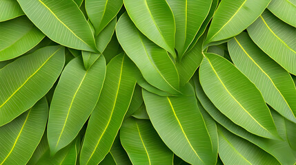 Vibrant Green Leaf Background Illustration