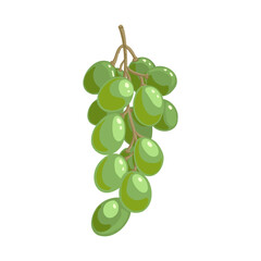 Obraz premium vector drawing bunch of green grape isolated at white background, hand drawn illustration