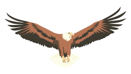 Obraz premium PNG America eagle wildlife vulture animal.