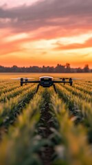 Drone Flying Over Lush Green Field During Beautiful Sunset in Agricultural Landscape