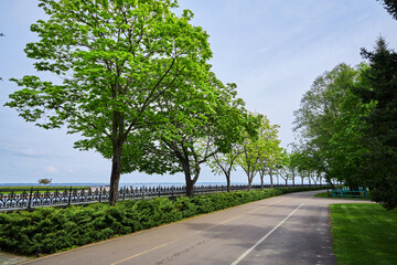 A small asphalt road flanked by a lush green lawn and trees, bathed in the warmth of a summer day.