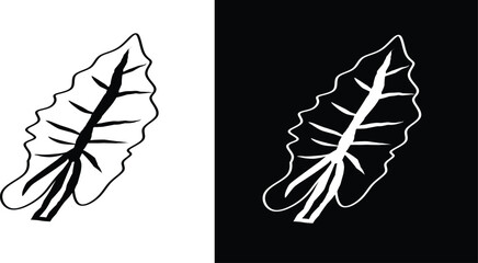 Minimalist artistic contrast of a leaf in monochrome style