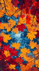Autumn leaves overhead, vibrant colors, forest canopy, nature background, fall wallpaper