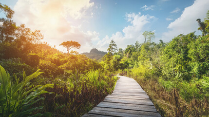 Obraz premium Scenic wooden boardwalk winding through a vibrant tropical forest under a bright sky, perfect for nature exploration.