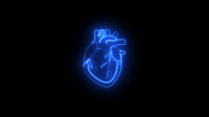 Red neon human heart illustration. Anatomical human heart with red line neon effect on black background.