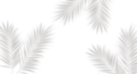 Obraz premium Tropical Leaves Framing a Minimalist Background