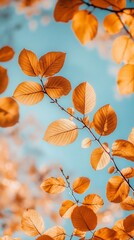 Obraz premium Autumn leaves against a blue sky, nature background, phone wallpaper