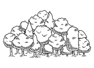 Forest sketch. Natural outline plant. Doodle drawn tree. Nature park or garden element. Drawing pine landscape