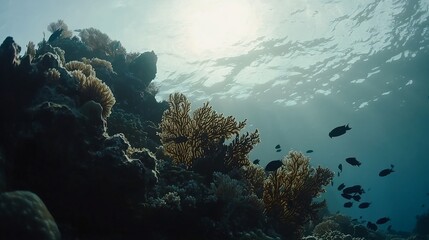 Fototapeta premium Underwater coral reef, sunlit ocean, vibrant marine life, tropical ecosystem, nature background