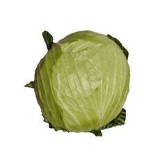 Naklejka premium cabbage isolated on a white background