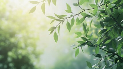 Delicate willow branches in fresh green, soft morning light, serene and minimalist Qingming Festival scene.