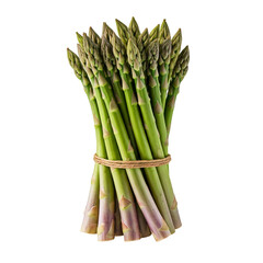 Bundle of Fresh Asparagus Spears Tied Together Isolated on White Background
