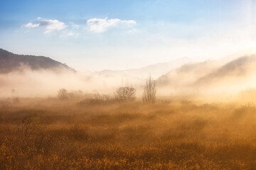 안개가 낀 겨울 아침 풍경, 평화로운 빛이 가득한 아침