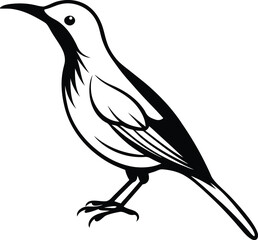 Olive-backed Sunbird silhouette vector illustration, Olive-backed Sunbird line art vector, Olive-backed Sunbird vector design