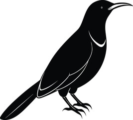 Olive-backed Sunbird silhouette vector illustration, Olive-backed Sunbird line art vector, Olive-backed Sunbird vector design