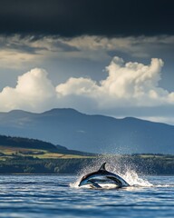 Fototapeta premium Majestic Dolphin Leaps Ocean Waves Dramatic Sky Mountainscape