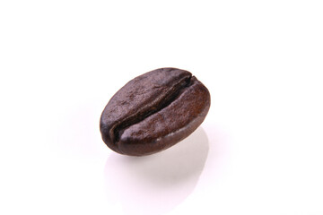 コーヒー豆1粒クローズアップ
