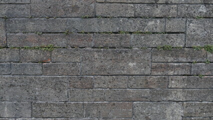 Brick wall texture