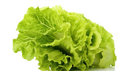 Fresh Green Lettuce Isolated on White Background