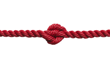 Red Knot on a Rope isolated on transparent Background