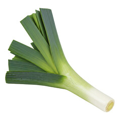 Whole Leek with Green Top and White Base Isolated on White Background