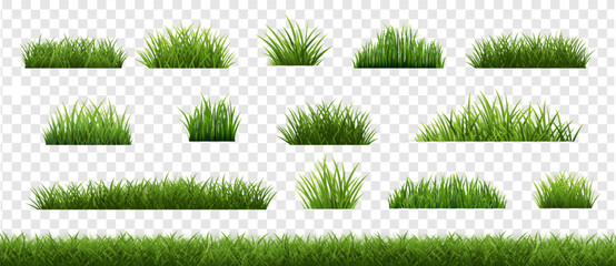 eGrassFrameAndTransparentBackground_10_M_250112