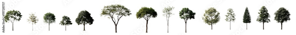 Poster 3d rendered png featuring jungle green trees with a clear background