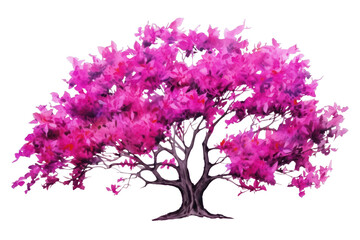 Obraz premium PNG Tree blossom flower purple.