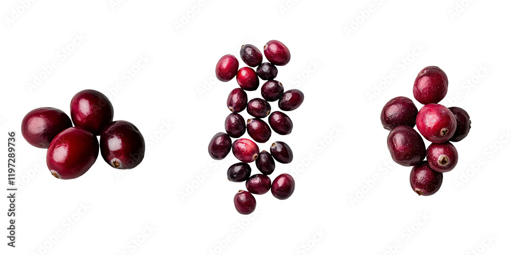 Poster fresh cranberries in red falling against a transparent backdrop