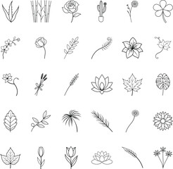Botanical Line Art Flowers, Plants, and Nature Illustrations © Bappaditya Roy