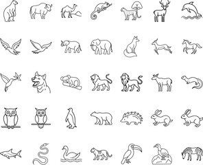 Diverse Animal Line Art Icons, Mammals, Birds, Reptiles