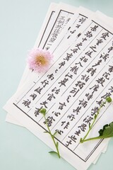 Little daisies on decorative paper featuring elegant calligraphy nestled on a soft background