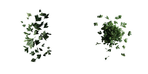 Isolated fresh parsley leaves on a white surface with a transparent background