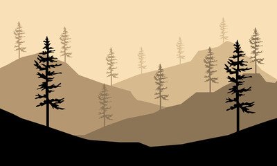 Landscape Mountain view , Pine trees