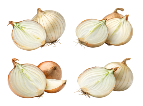 The set of four large onions closeup, isolated on the transparent background. Irreplaceable vegetable for cooking any meals.