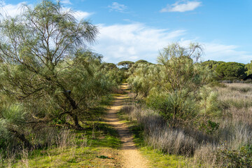 El Puerto de Santa María - Puerto Real / Naturpark der Bucht von Cádiz